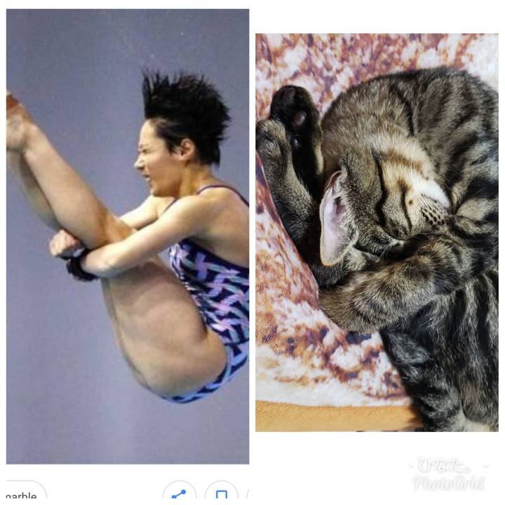 8d9412dc 3cfe 4465 bd5b 5108be832239 1547958877662