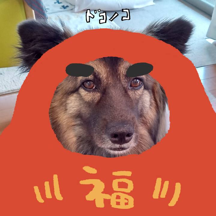 8d942b11 1907 4a55 ba7b 3f9bcbff4f66 1771829781275