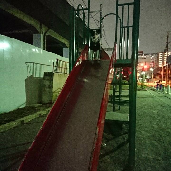 8d946f55 4c28 4031 b0f3 2a2682d587e2 1511787524186