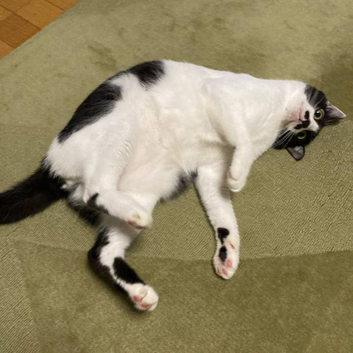 8d94725e ac03 4119 aa46 c47746a75778 1756737366878