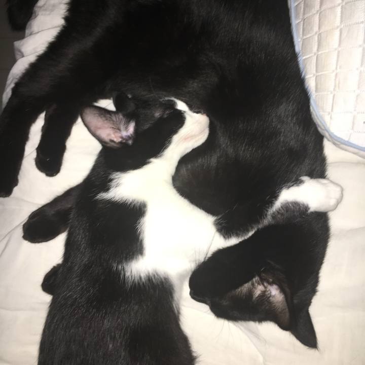 8d948165 9525 44d1 8465 cd6719e3c472 1538457535968