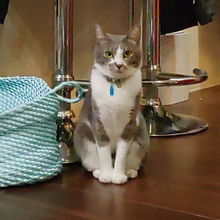 8d948e93 45f6 4bac bd60 c2a3521d7d51 1698494630029