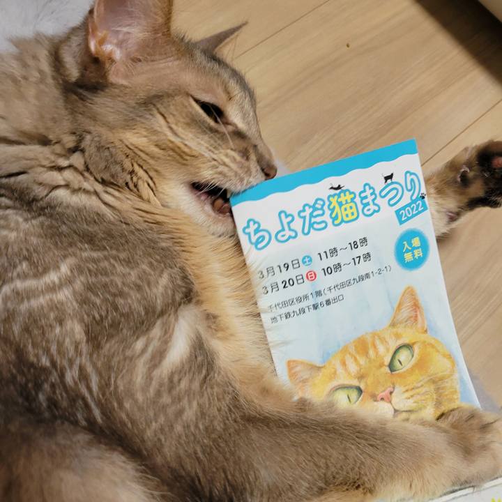 8d94b074 93a0 4e80 bd99 34eb6ded9a48 1647768159457