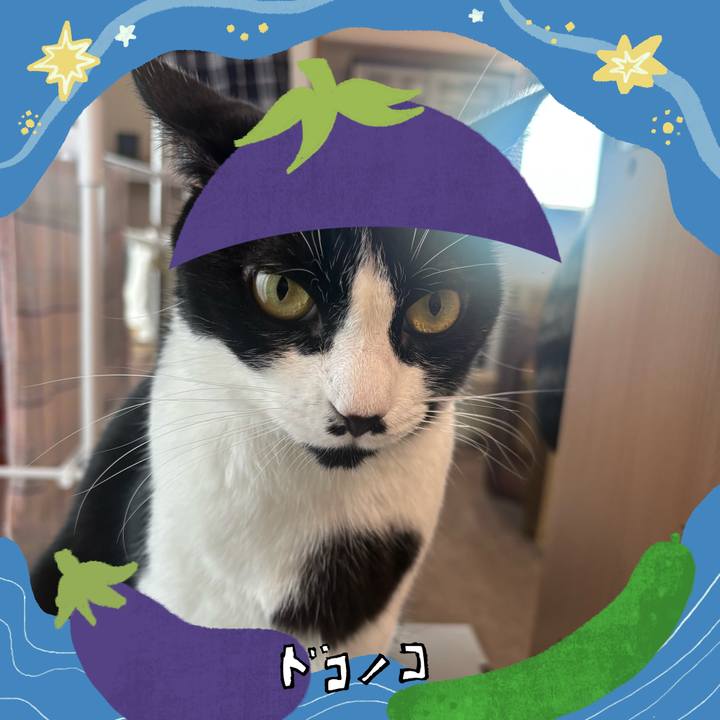 8d951007 2b13 44d4 81cb 79f728994e39 1755482050531