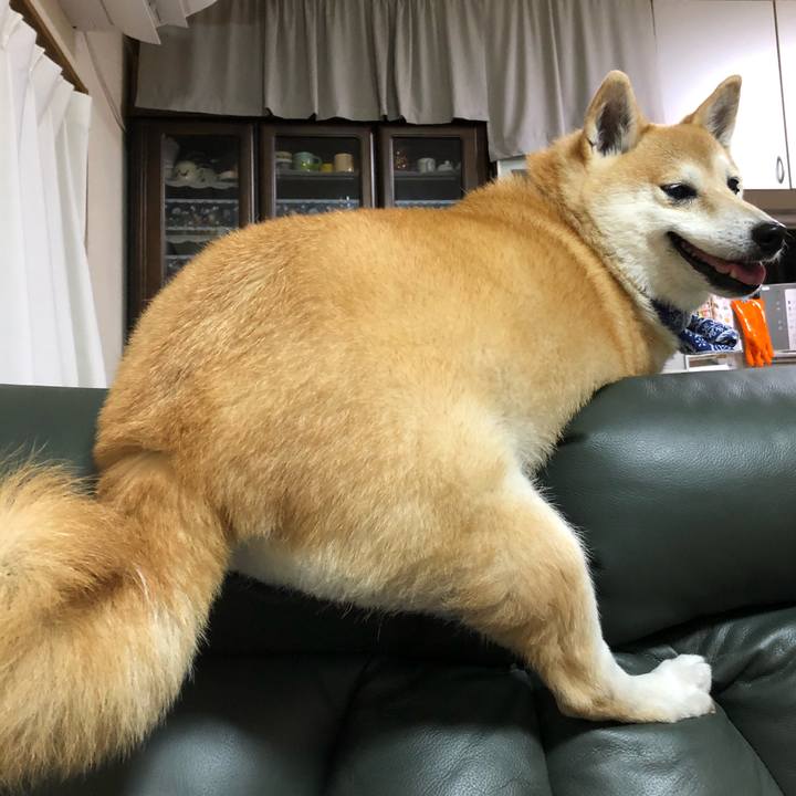 8d951d85 f15b 42c9 bb78 0cb2601a7d01 1599133620941