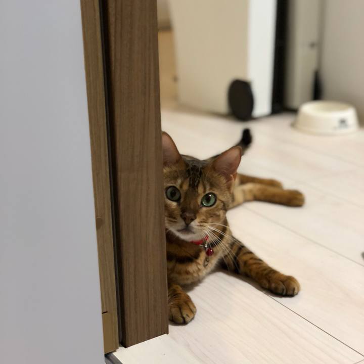 8d952b7a 2815 4a01 a8dd c41e512fd917 1537540977229