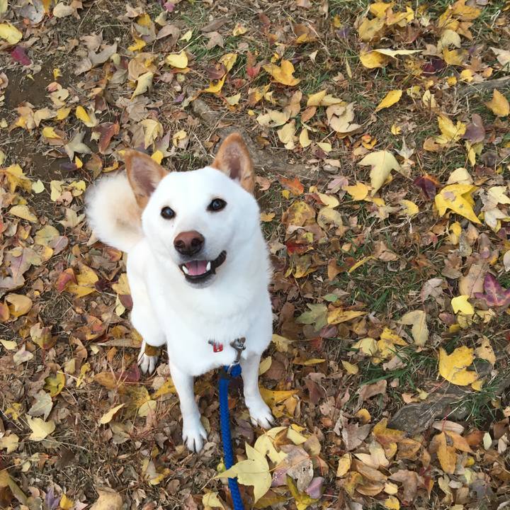 8d953d6d f27a 45bb bea9 ac763477ab49 1512115992790