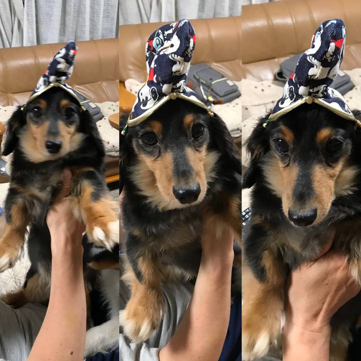 8d95844d d630 43e2 b741 6e8b91e57bd1 1531005613569