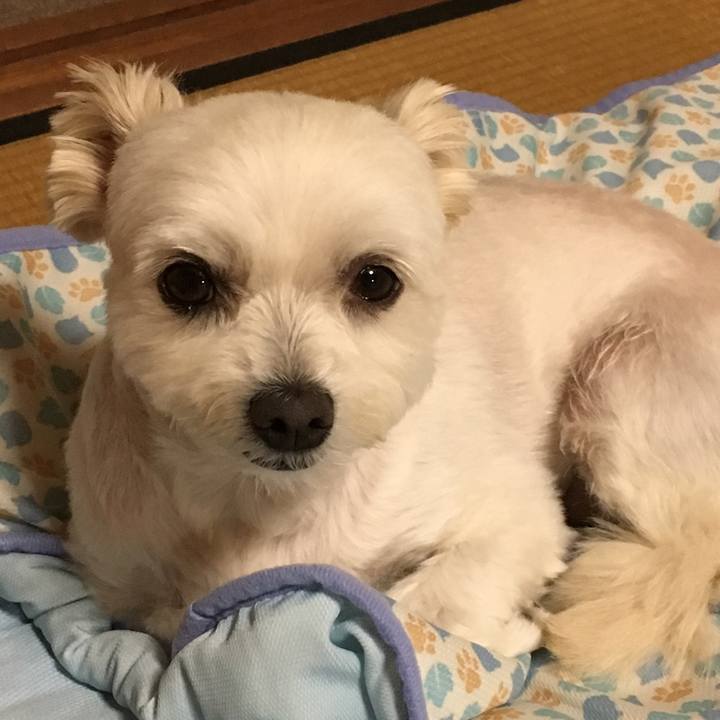 8d95b85e c2ad 4785 a007 9a9ac43f1011 1537869922397