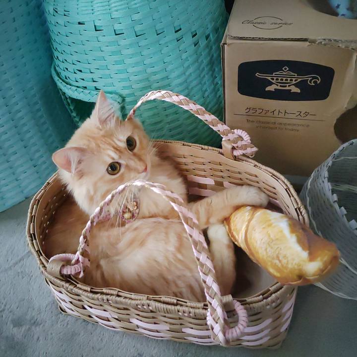 8d9600af 08fe 416b a2f3 a2838c021a1f 1662602301627