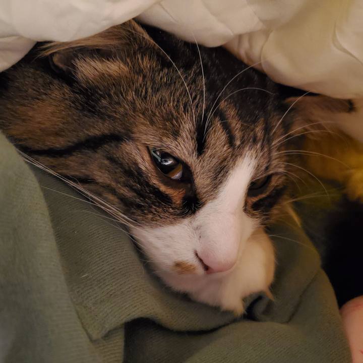 8d960185 0b97 43d6 9c4a 73e3561fe80a 1683076985497