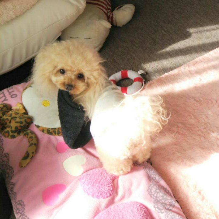 8d962fd3 69c2 4112 80a2 5a2cc8b904df 1539425331181