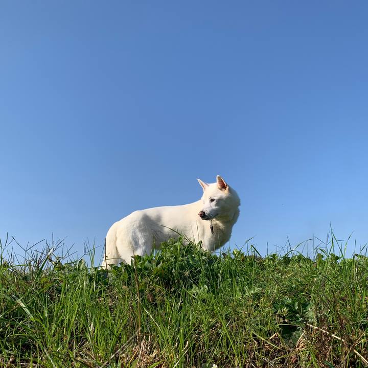 8d9640d9 36a4 42eb 9562 f9bb78576d2e 1573953728648