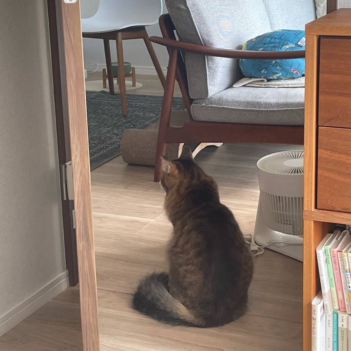 8d966831 4e70 467b a717 a5c2cf613449 1760443955451