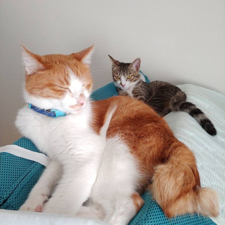 8d966b13 e87e 4c7e bce7 116e8362f3e9 1664882921581