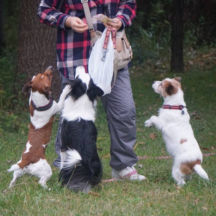 8d96b4e0 0b24 4874 b6e4 f17824beccfe 1509318155795