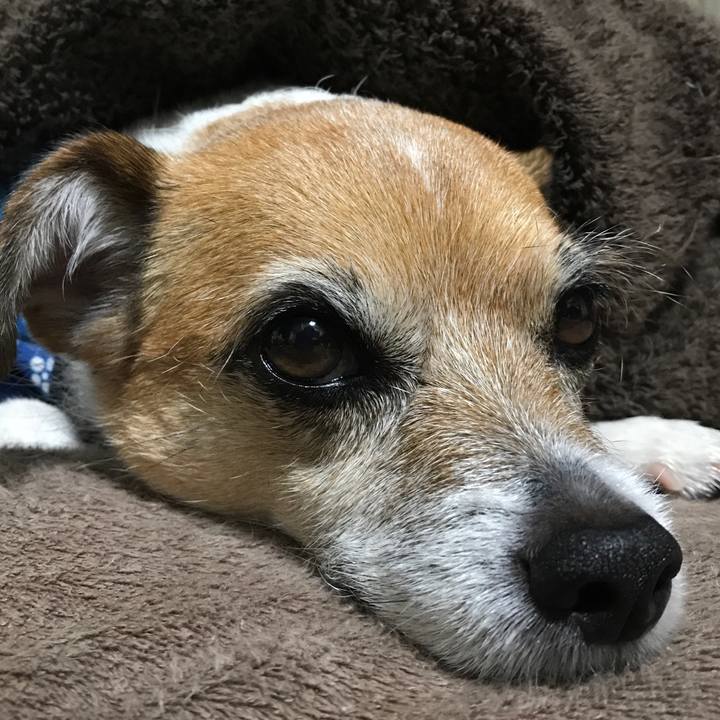 8d96c96c 3eaf 4f30 8dea 28da6b2ffa33 1579003575055