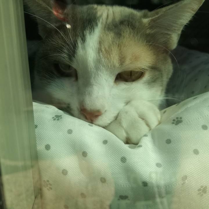 8d96eb92 fbbf 4f1b 9373 df446ef6fd87 1540794092946