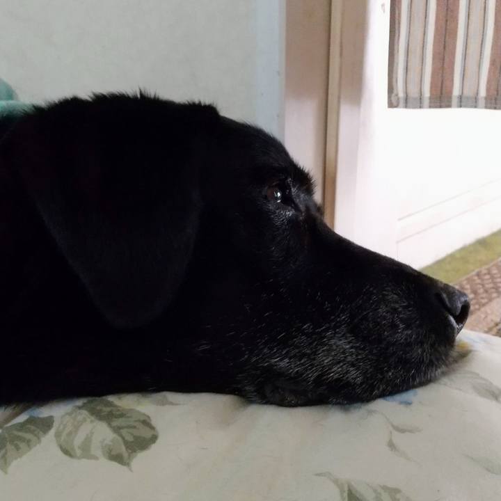 8d973ed1 bf57 4677 baa8 5b3d35b2ba83 1698548507191