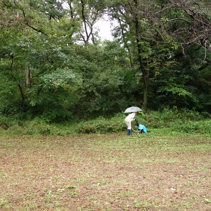 8d9760c0 ec58 4ffd a8a8 55a5f3043c22 1730071362004