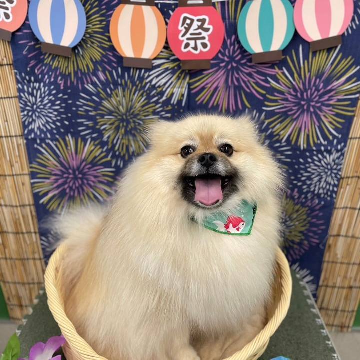 8d976cbf 35be 4091 b0d1 14d3ace66957 1720230990612