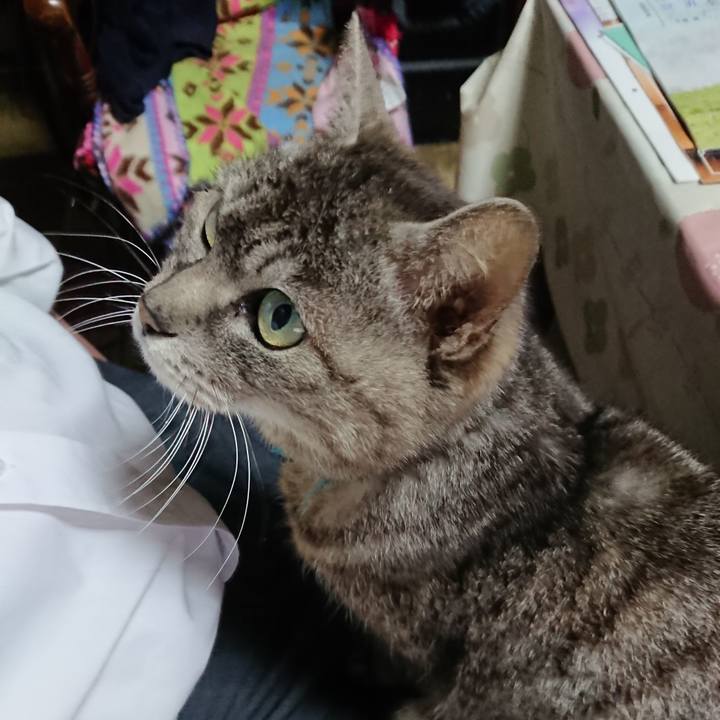 8d978066 ad86 4af1 9c68 5066c4b2a5ed 1557480421615