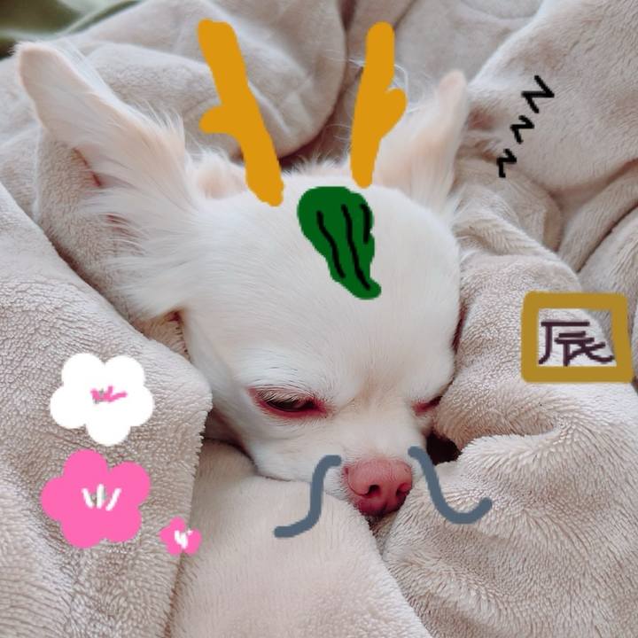 8d978828 e59e 4a27 b9b4 1a4fe1f7ebc3 1704156086839