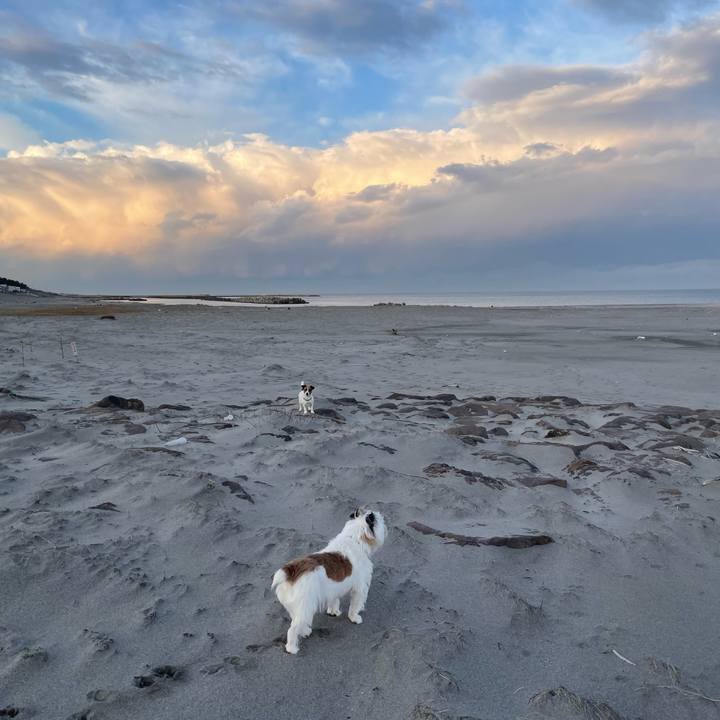 8d979854 733c 484c 8356 39c4b1987711 1701904334966