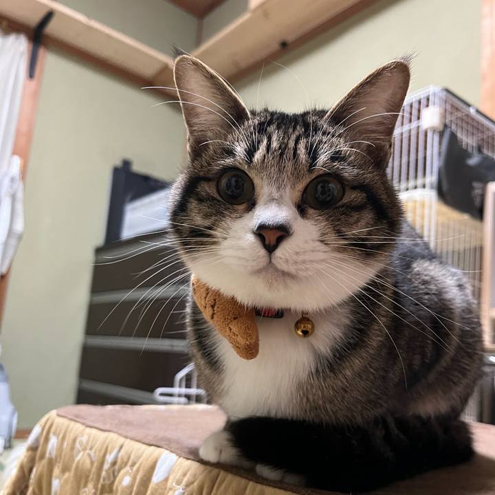 8d980c8d ff92 461f aa3c 311c18a1e68b 1707286444773