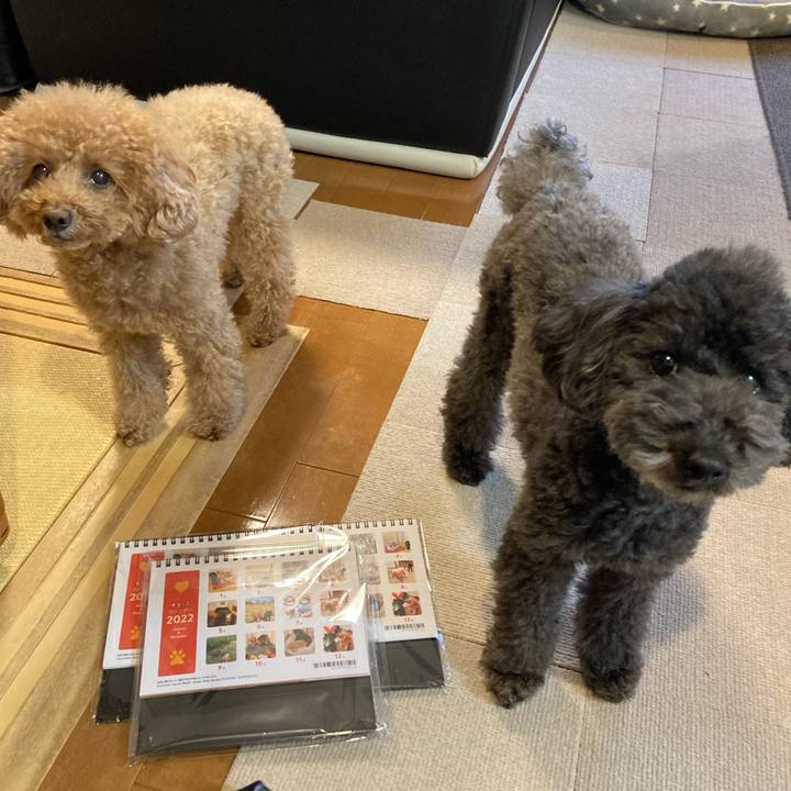 8d981bc9 a60c 4c4e a9a1 d40be2b73031 1639223404419