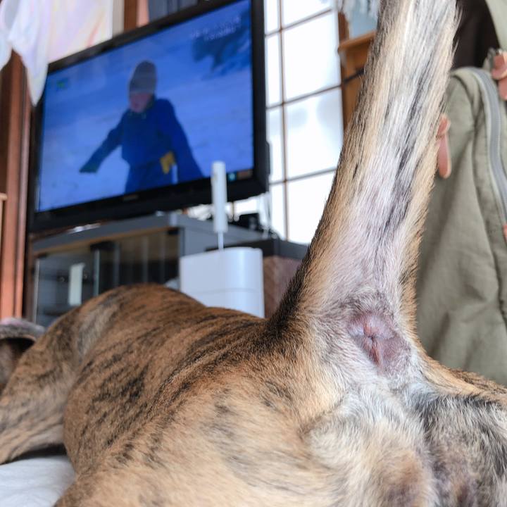 8d98512d 2832 4164 bc76 e876f4cad3c5 1570853303744