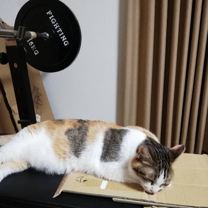 8d987728 54e8 4a68 89c1 b011e9152c74 1720653342756