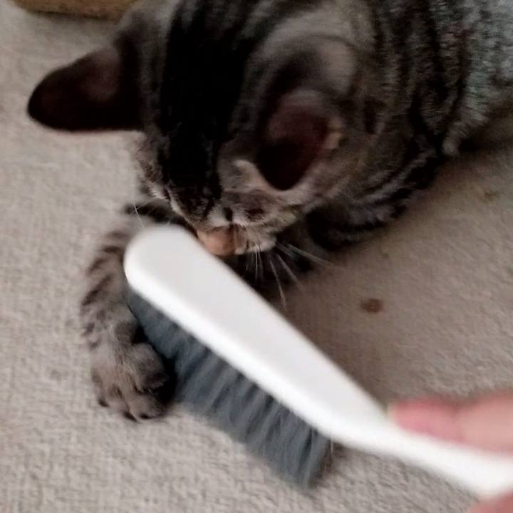 8d98b77c 5ef9 43aa 95e1 fc3adb5c9aa2 1668602026191