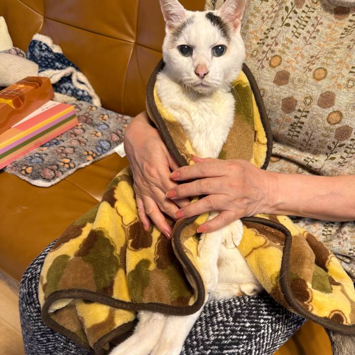 8d98e4bc 0875 45dc a36f ca7503bfbf58 1765781176173