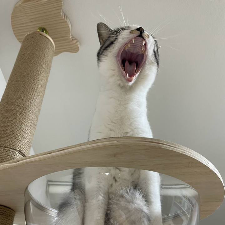 8d99500b 7fa4 4109 81a3 8a001884cc5c 1722598071983