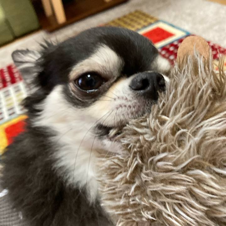 8d995f63 a546 4ea3 9a91 0829b0ba979a 1683992509849