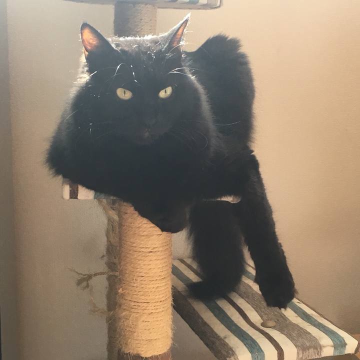 8d99642e e183 4cac 8dc4 db65a932d586 1533606284217