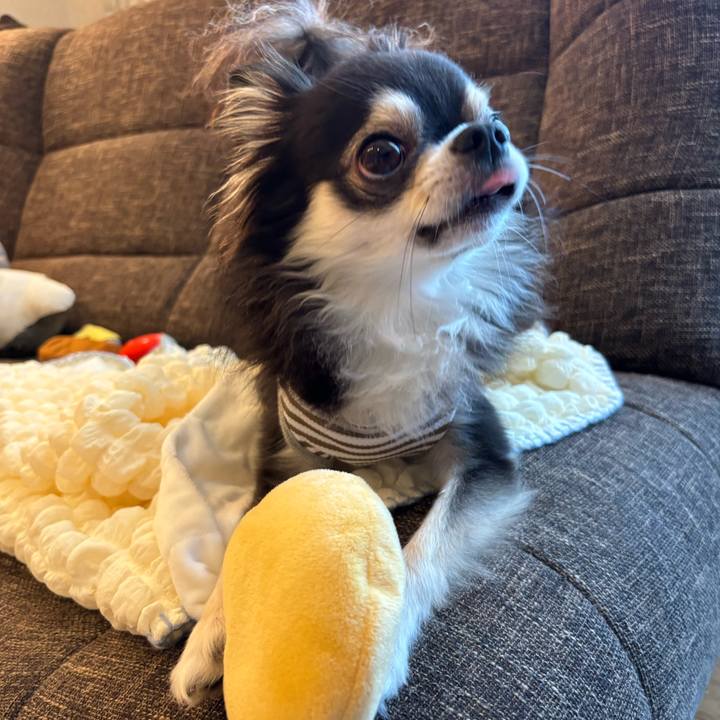 8d99a6c6 ccce 43b4 bee4 b25b135ddbde 1723565939465