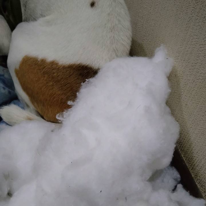 8d99d5c4 c3e2 44ad 8e32 af8cc9f0b421 1671354134156