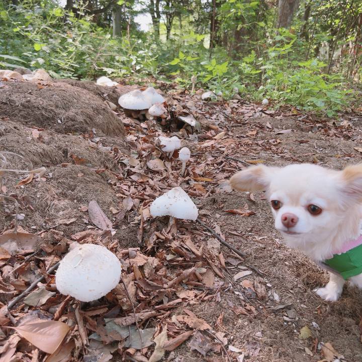 8d9a3c6c 11c9 4f8f 91d9 e2af16515cdd 1759274542263