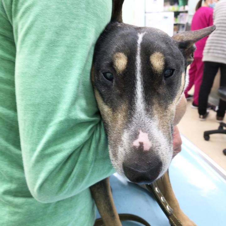 8d9a8501 6d03 4840 8d31 fd98fe783130 1521947792392