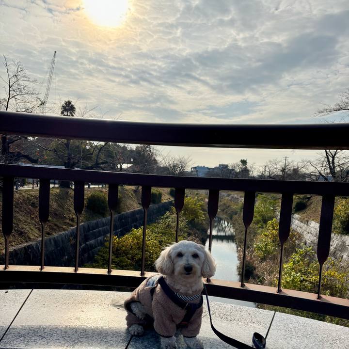 8d9ab7d1 06c5 42a0 84fa b76bb1a336ff 1765943449924