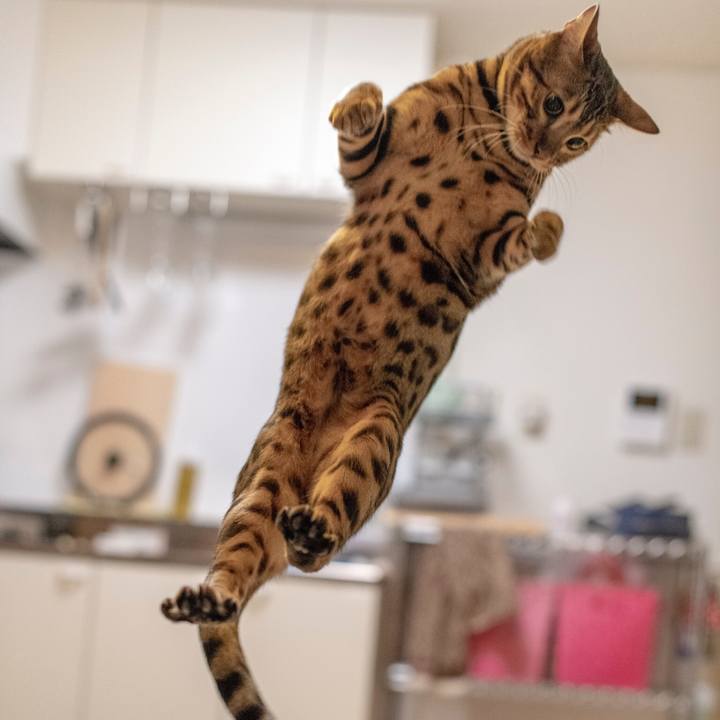 8d9af3c0 81cd 4324 aee8 69567a8d3767 1530889149253