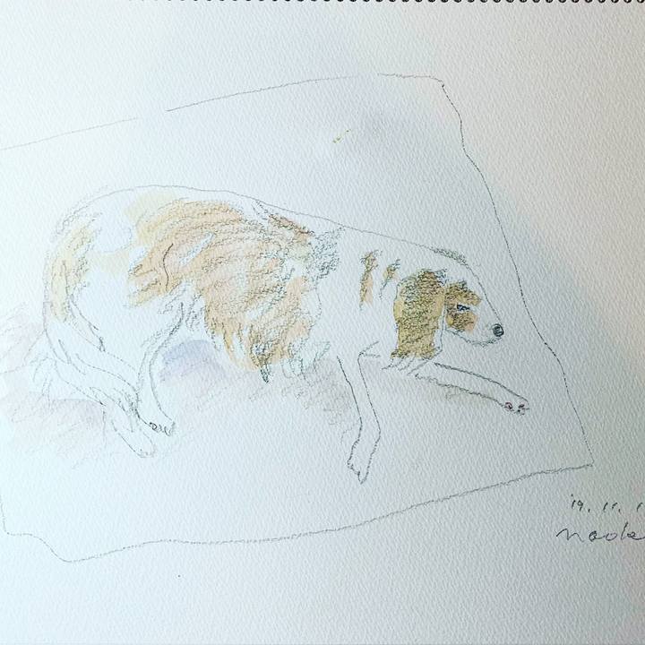 8d9b40b6 735e 4bfc 8134 d68fc1487e68 1573546507017