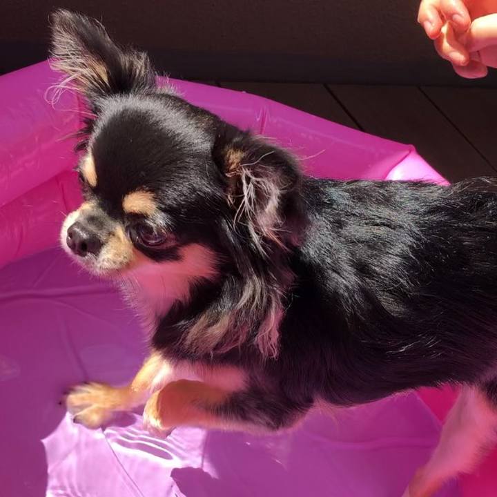 8d9b42f5 4a1f 468d 80b4 7e44fd57db0f 1566696258625