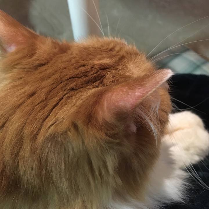 8d9b8202 5357 45ee 9cf9 d38ced17ec56 1568969272766