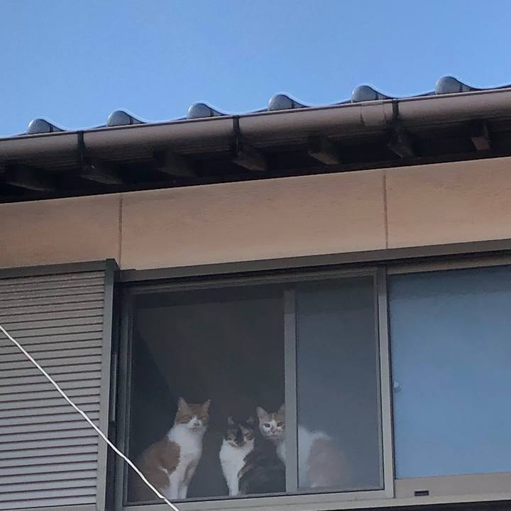 8d9bbc39 ef82 4e24 9ed5 9b7406e2d008 1620138885826