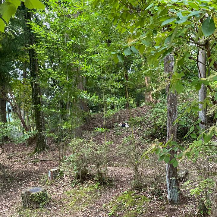 8d9bd502 86f0 4147 9ee0 9483172d33fd 1571797988606