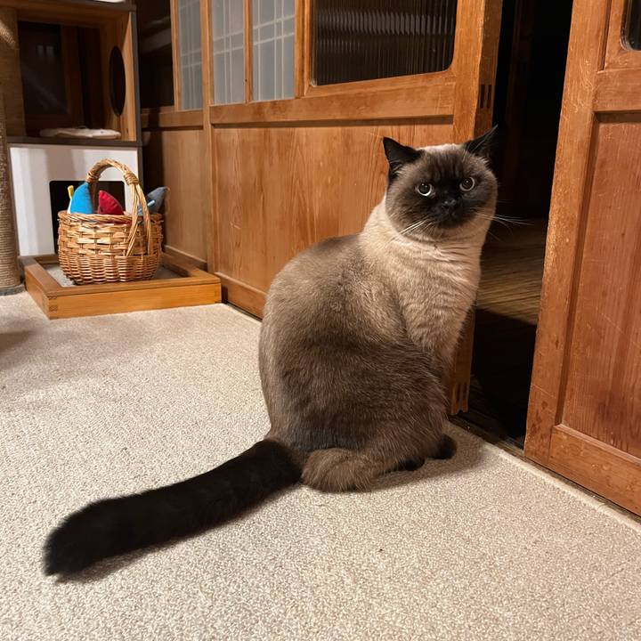 8d9bdcb4 feee 41a1 aa72 c6f3e3e8b6d1 1668768672831