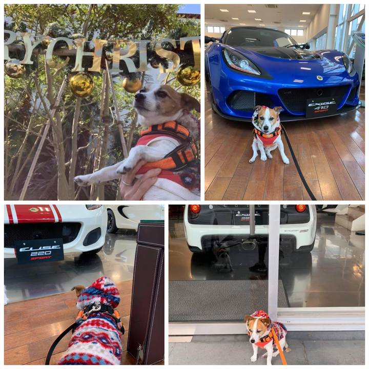 8d9c1a1a bf66 4d5b bc6e e0a6d6f9c87f 1669894583601